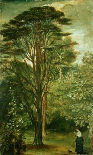 The Cedar Tree, 1868-69
